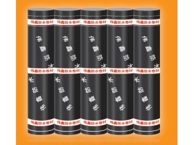 彈性體/塑性體改性瀝青防水卷材